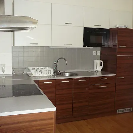 Lion Medena, Big Size, High Ceilings Apartment