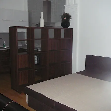 Lion Medena, Big Size, High Ceilings Apartment *