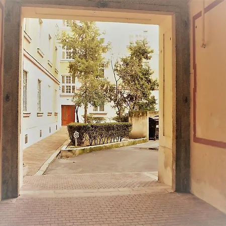 Lion Medena, Big Size, High Ceilings *